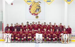 Hockey team. 2010-2011.