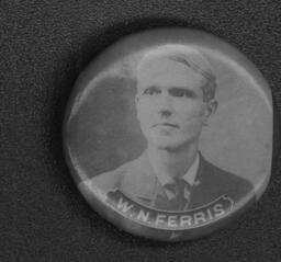 Campaign button Ferris for Governor