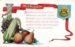 Pledge To The State Of Michigan Postcard
