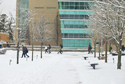 Campus scenes. Cold weather.