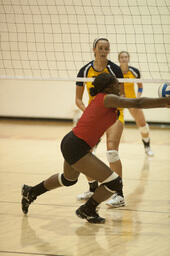 Volleyball v. Alderson Broddeaus University.