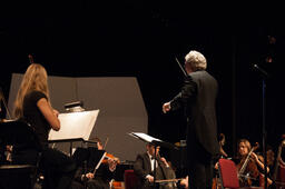 Orchestra concert.
