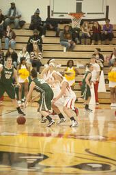 Womens basketball v. Tiffin University.