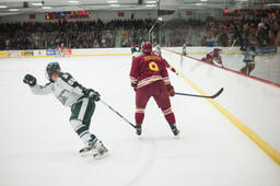 Hockey v. Michigan State University