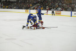 Ferris State University vs. Alaska Anchorage, Men's Hockey