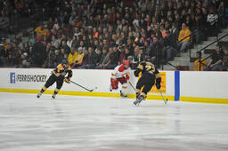 Ferris State University vs. Michigan Technological University, Men's Hockey