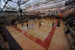 Ferris State University vs. Michigan Technological Univeristy, Women's Basketball