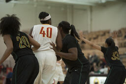 Wayne State University vs. Ferris State University, Women's Basketball