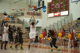 Wayne State University vs. Ferris State University, Women's Basketball