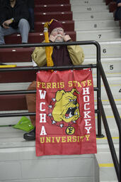 Ferris State Univerity vs. Bemidji State University, Men's Hockey