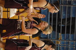 Womens basketball v. Drury University. Great Lakes Regional Final