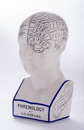 Phrenology Head