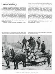 Mecosta County Area History book page 13