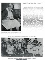 Mecosta County Area History book page 49