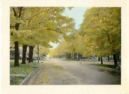 Big Rapids.  South Michigan Avenue. October 1939.