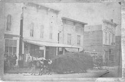 Big Rapids.  Downtown 1880s. Undated photo.