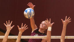 Volleyball. Greatest Hits photos.