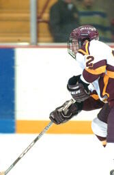 Hockey v. Michigan State University.