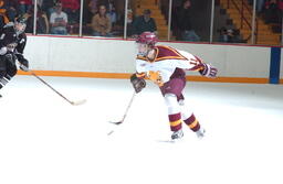 Hockey v. WSU