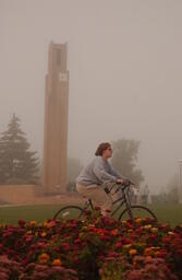 Foggy campus shots.