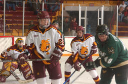 Hockey v. Wayne State University.