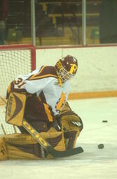 Hockey v. Western Michigan University.