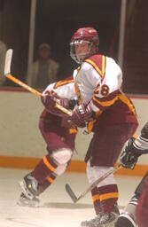 Hockey v. Western Michigan University.