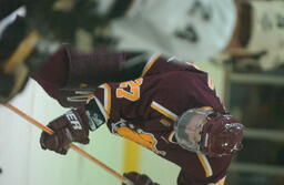 Hockey v. Western Michigan University. 2003.