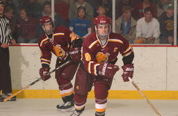 Hockey v. Michigan State University.