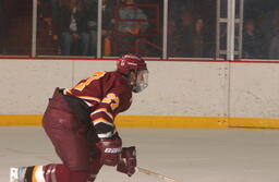 Hockey v. Michigan State University.