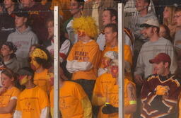 Hockey v. Michigan State University.