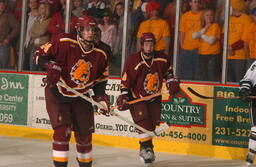 Hockey v. Michigan State University.