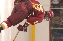 Hockey v. Michigan State University.