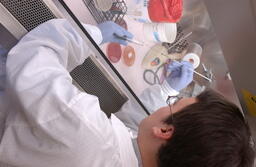 Clinical lab sciences program.