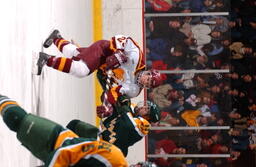 Hockey v. Northern Michigan University.