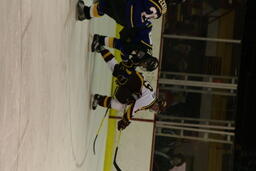 Hockey v. Alaska- Fairbanks.