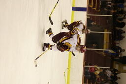 Hockey v. Alaska- Fairbanks.