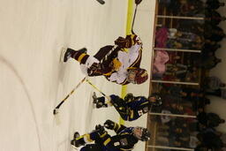 Hockey v. Alaska- Fairbanks.