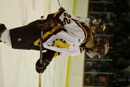 Hockey v. Alaska- Fairbanks.