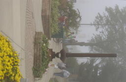 Foggy campus scenes.