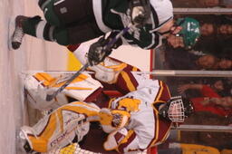 Hockey v. Michigan State University.