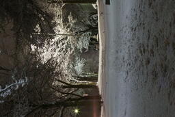 Winter campus scenes.