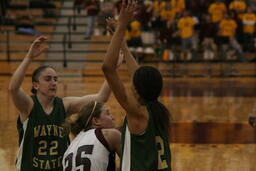 Womens basketball v. Wayne State University.