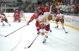Hockey action shots. 2010.