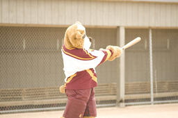 Brutus Bulldog playing baseball.