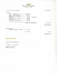 Financial report (amended). January 1991-April 1991.