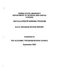 Baccalaureate in Nursing (BSN) Academic Program Review repor.t